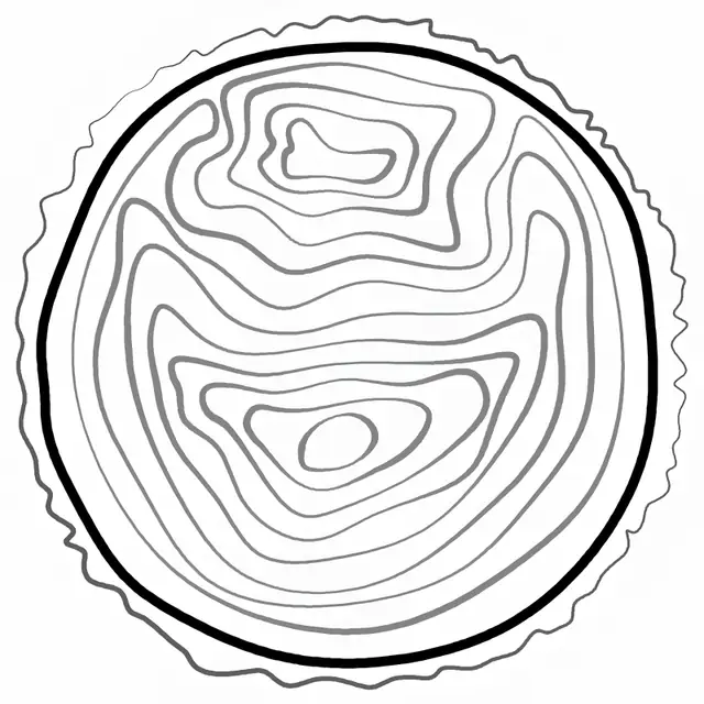 Terrain Labs logo