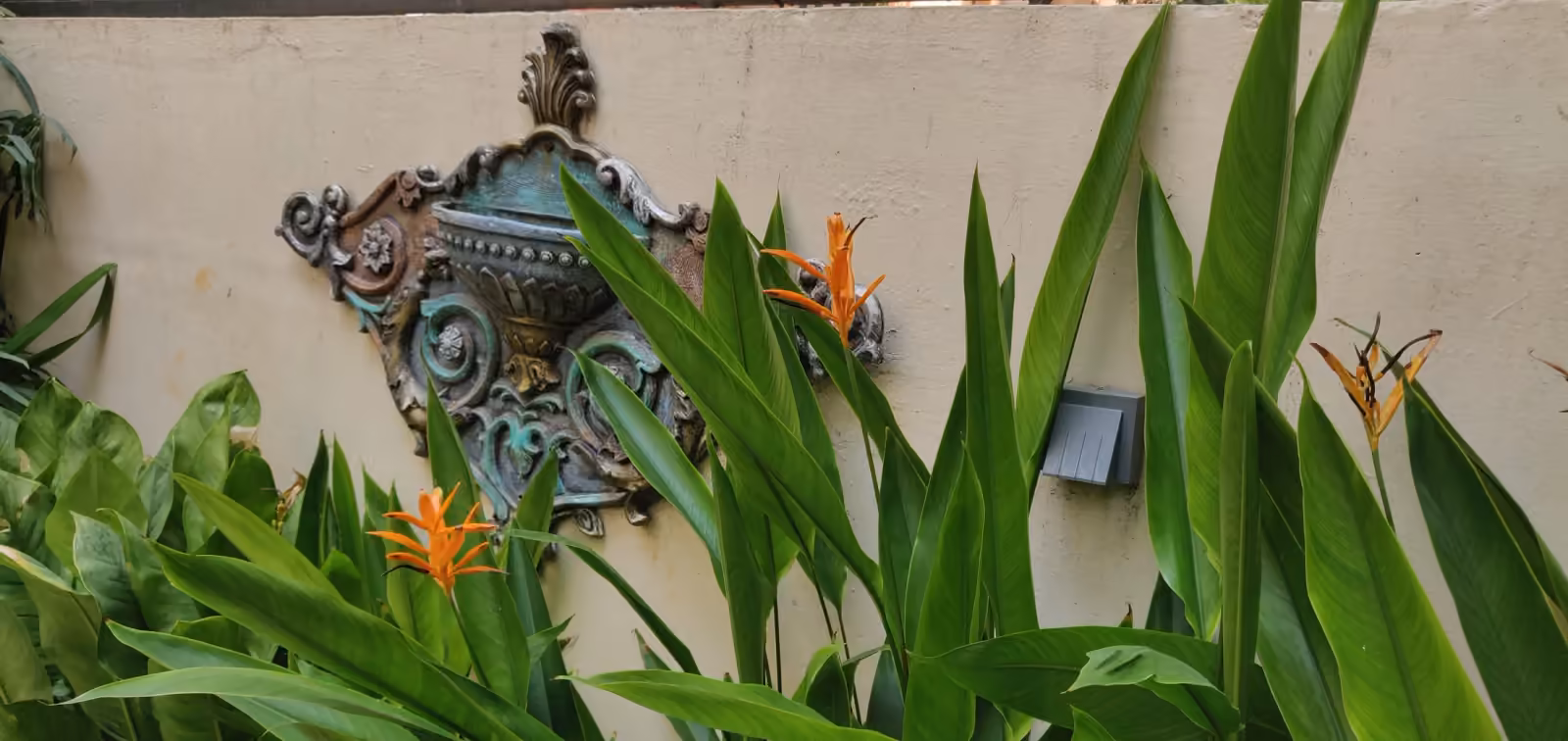 Residence - CIT nagar — image 14