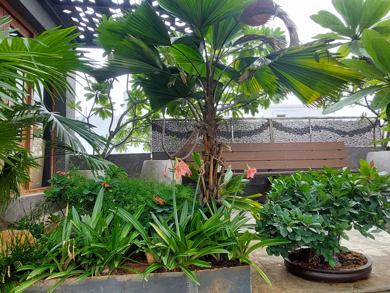 Residence - Besant nagar — image 2