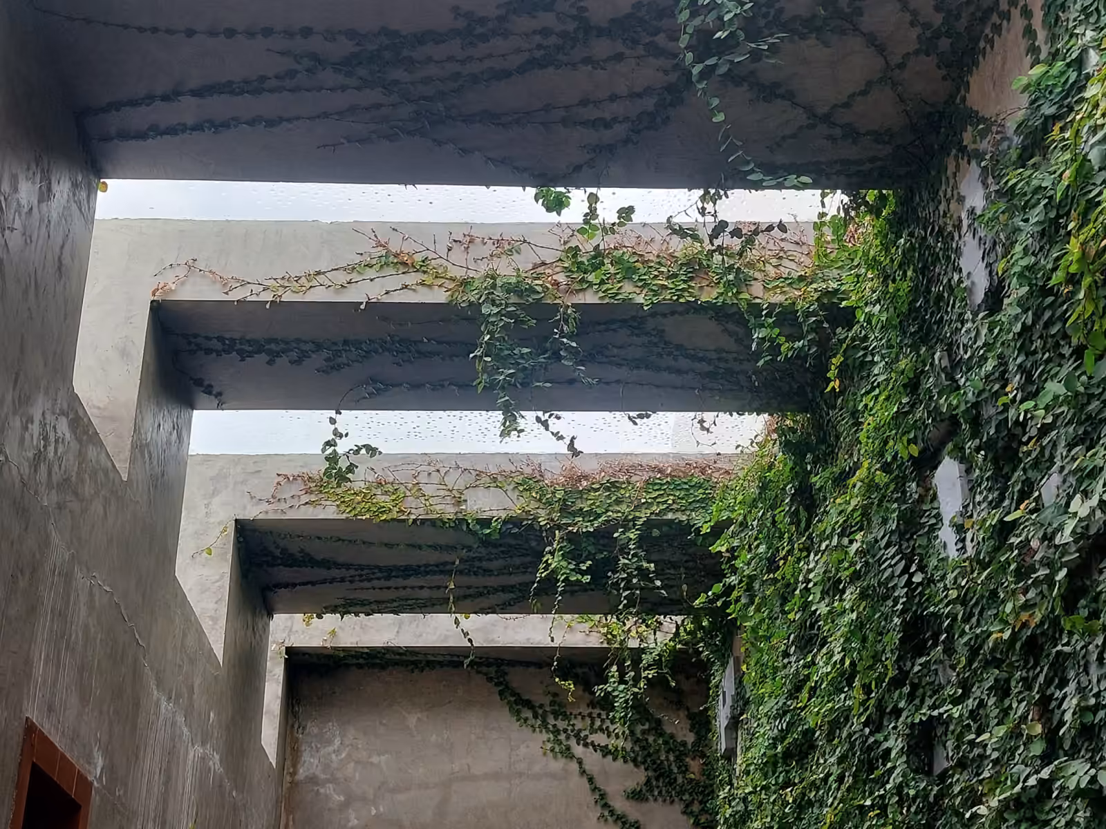 Residence - Besant nagar — image 21
